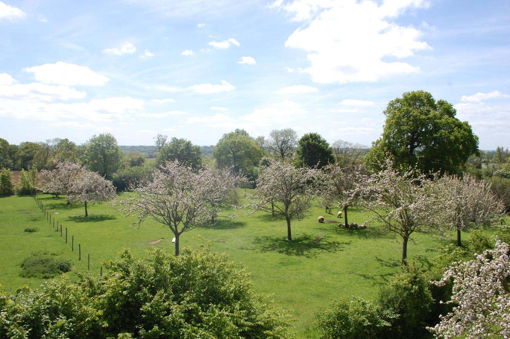 Le Clos Des Pommiers Tracy-sur-Mer Bagian luar foto
